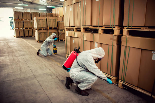 Best Pest Removal Services  in Glenville, CT