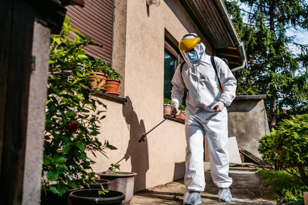 Best Pest Control Near Me in Glenville, CT