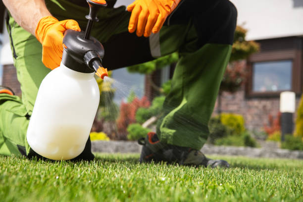 Best Emergency Pest Control  in Glenville, CT