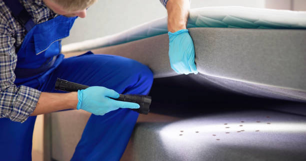 Best Cockroach Control Services  in Glenville, CT