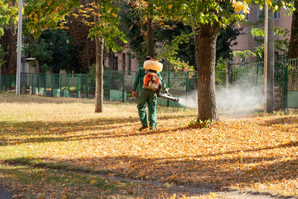 Best Flea Control Services  in Glenville, CT