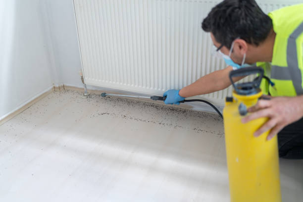 Best Local Pest Control Services  in Glenville, CT