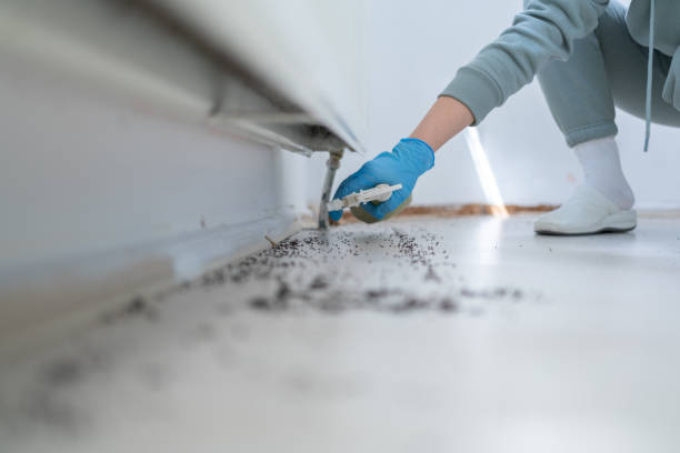 Best Mosquito Control Services  in Glenville, CT